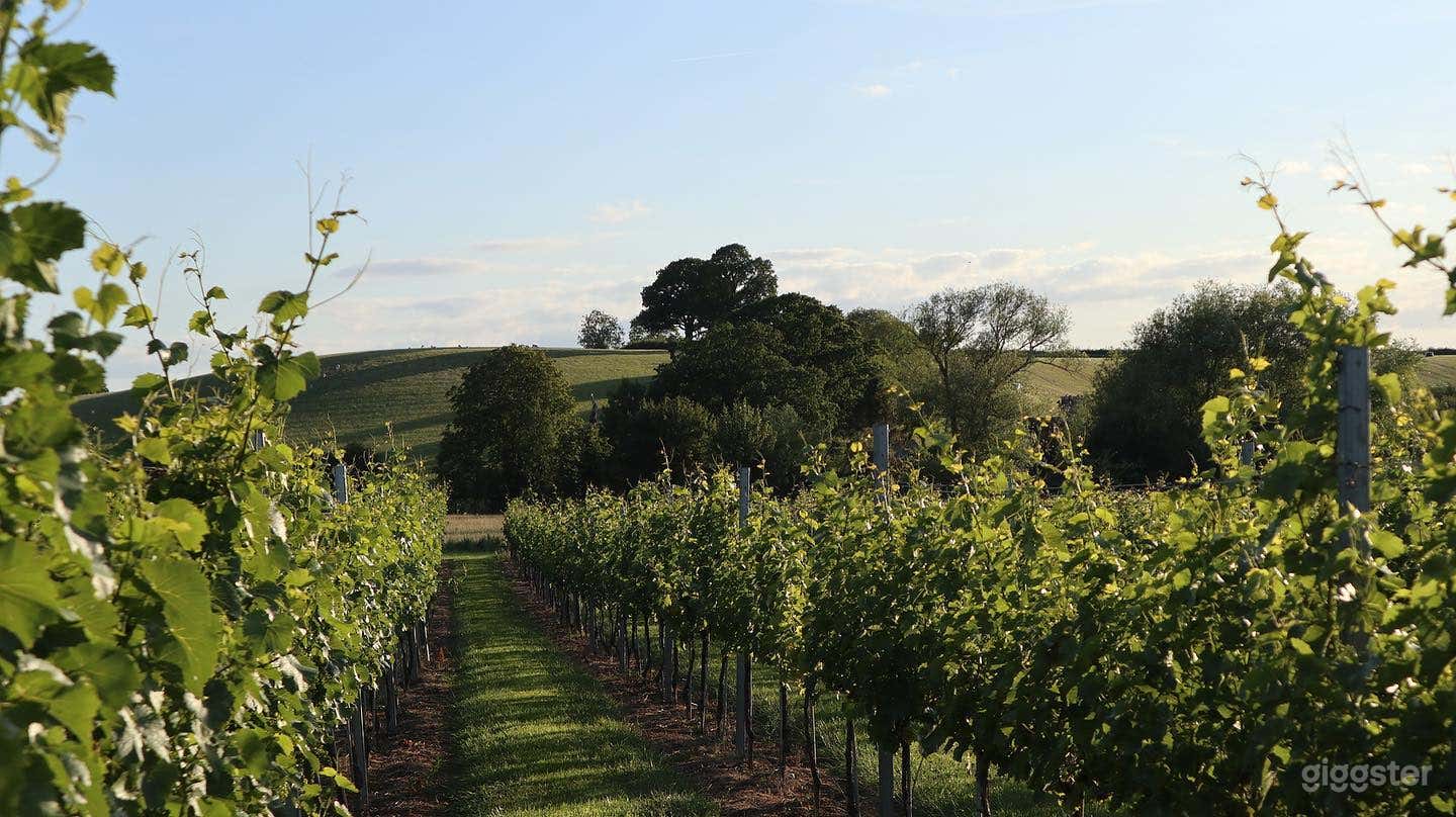 Stunning Vineyard Locations Photo 1