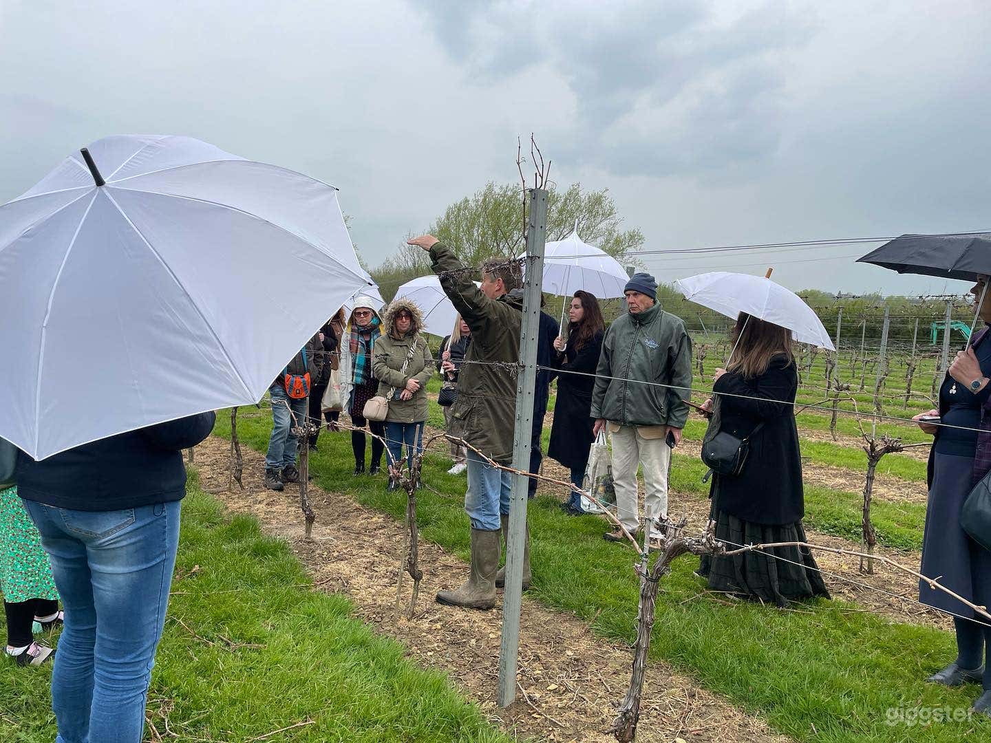 Stunning Vineyard Locations Photo 4