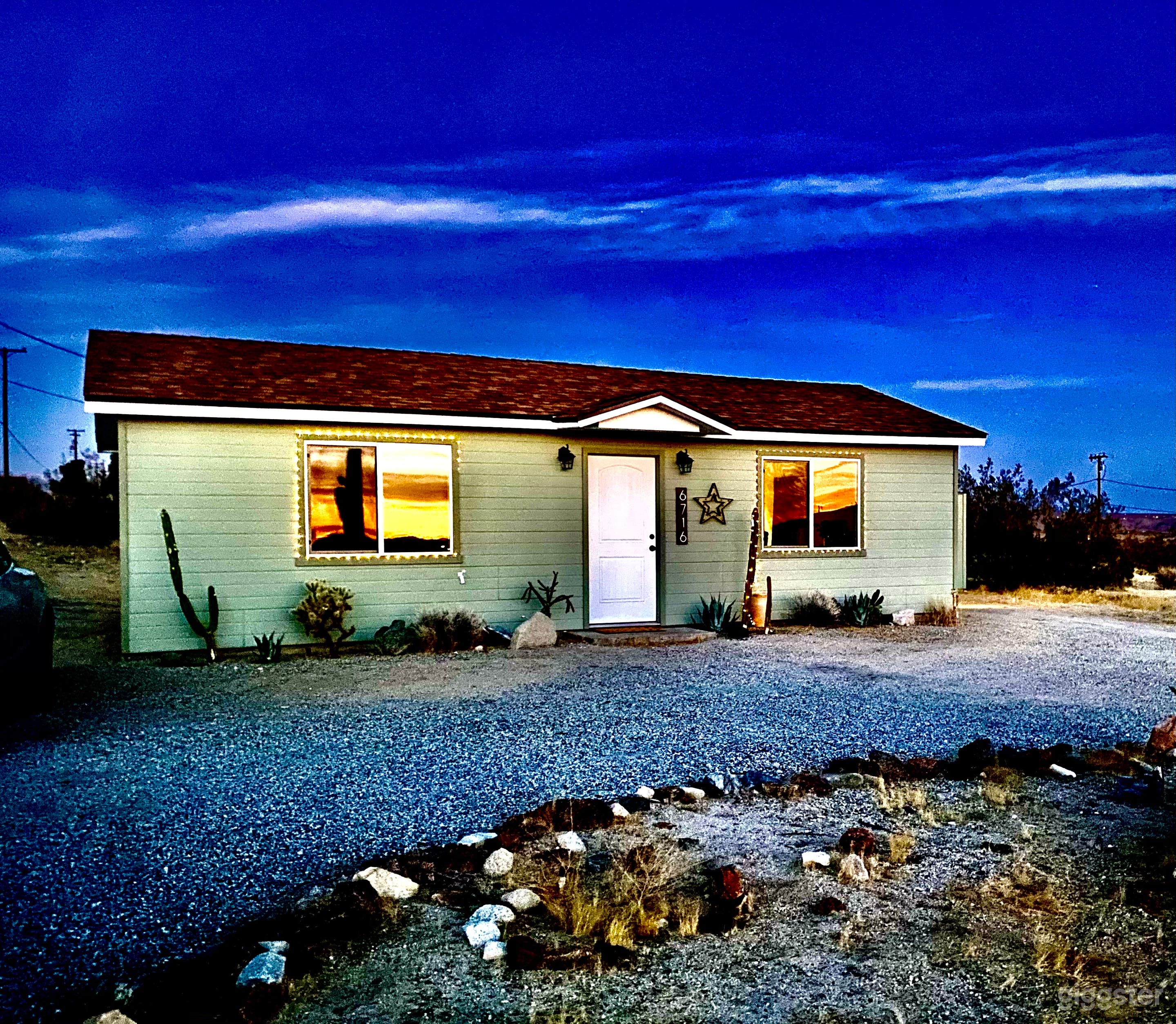 SPACE AGE JOSHUA TREE Photo 4