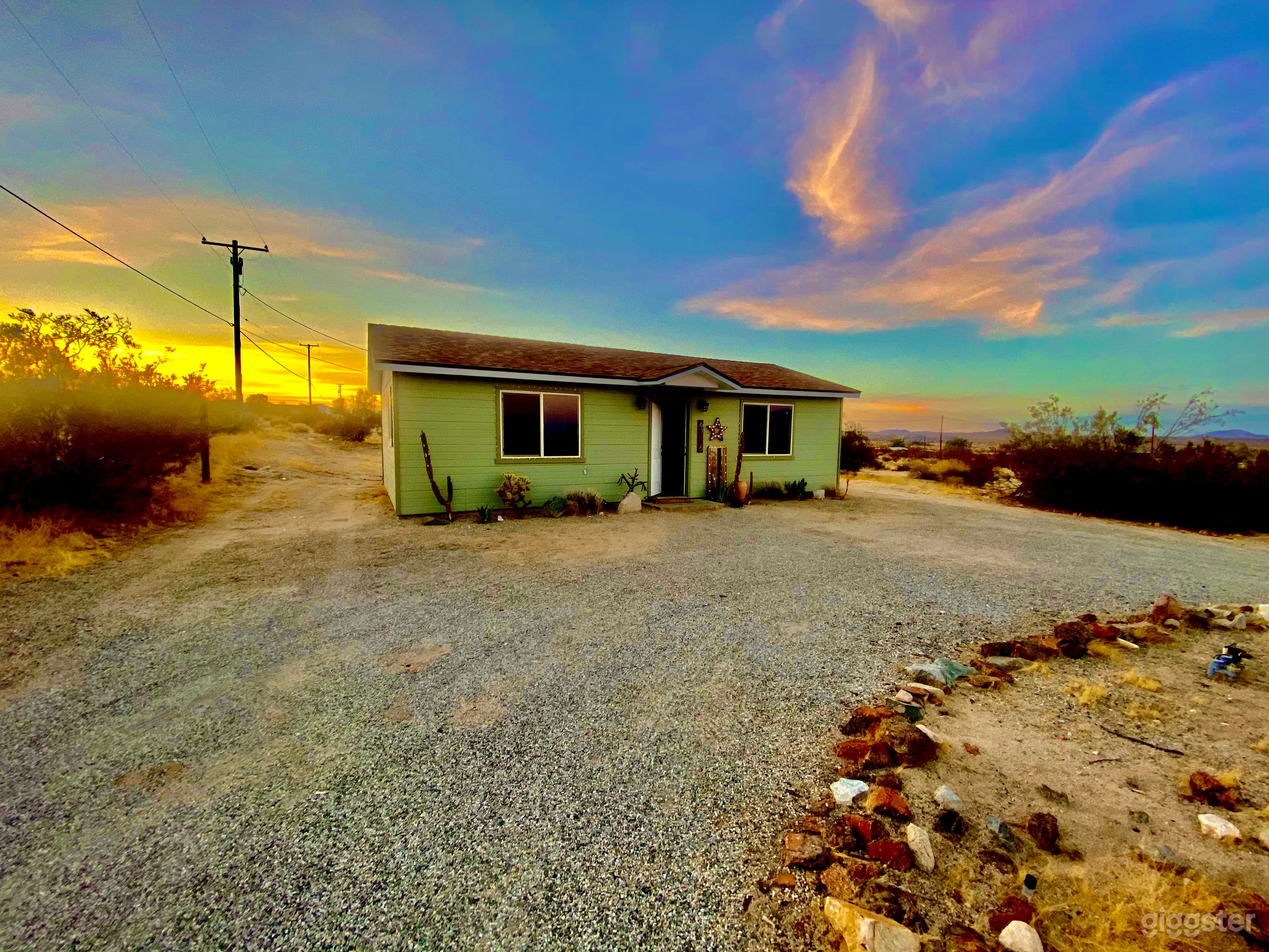 SPACE AGE JOSHUA TREE Photo 1