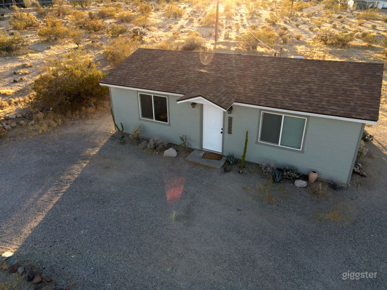  SPACE AGE JOSHUA TREE 