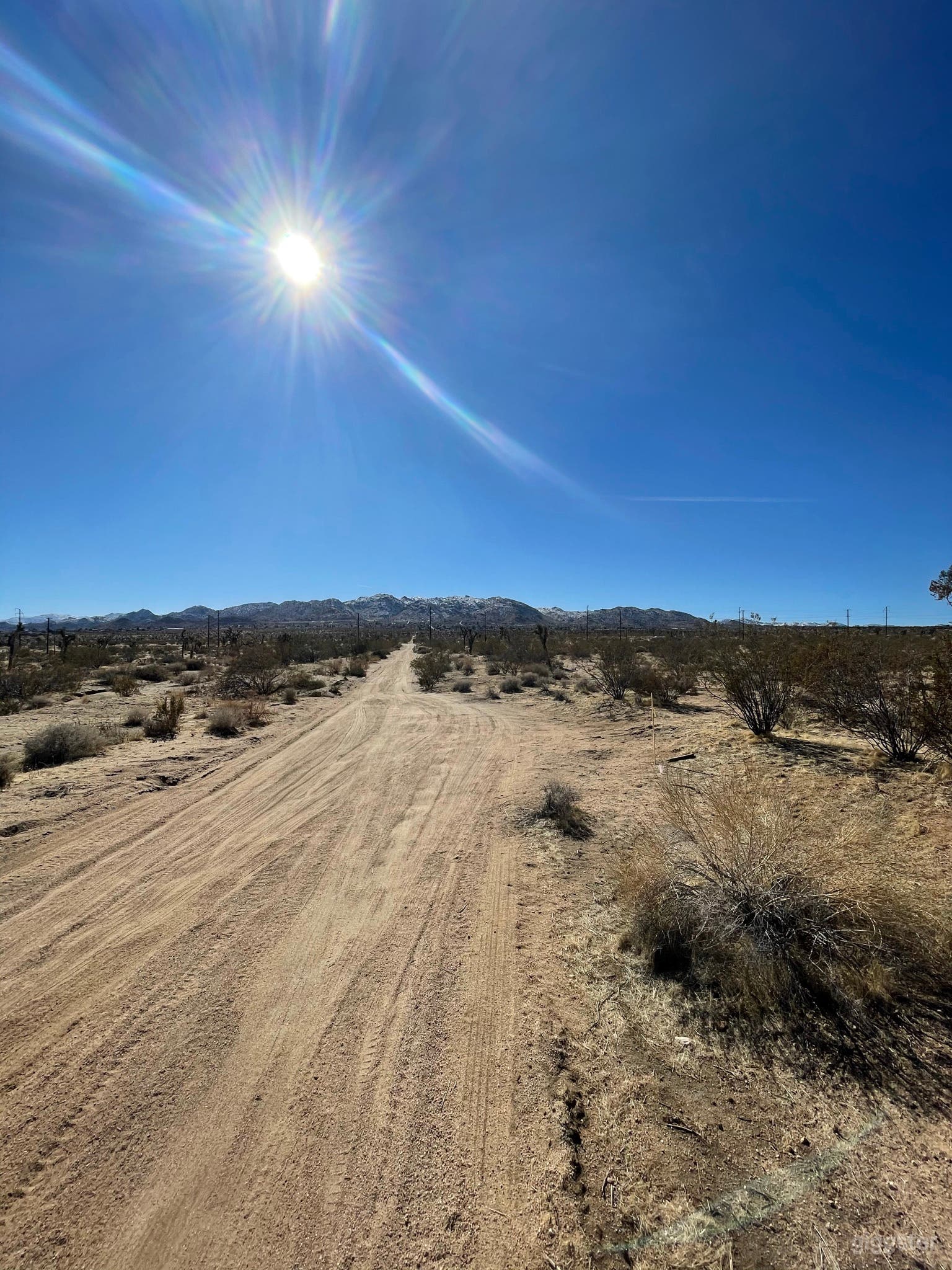 View of Joshua Tree National Park