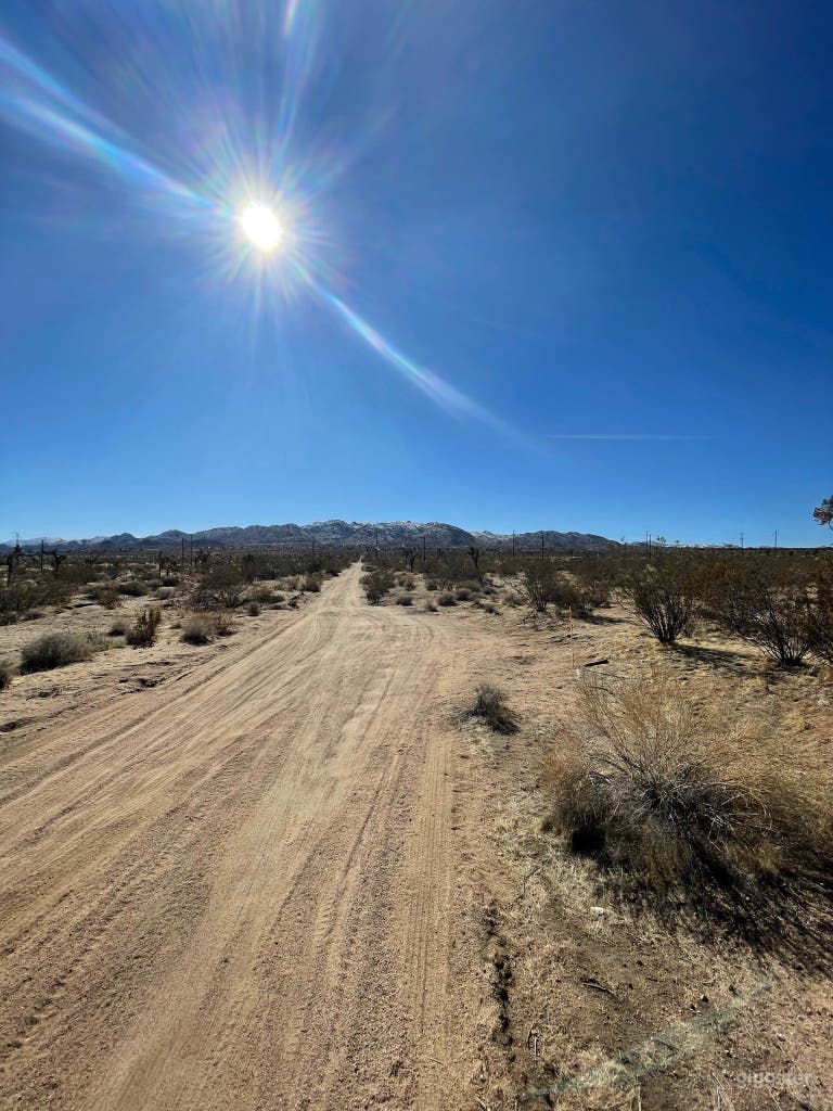  View of Joshua Tree National Park 