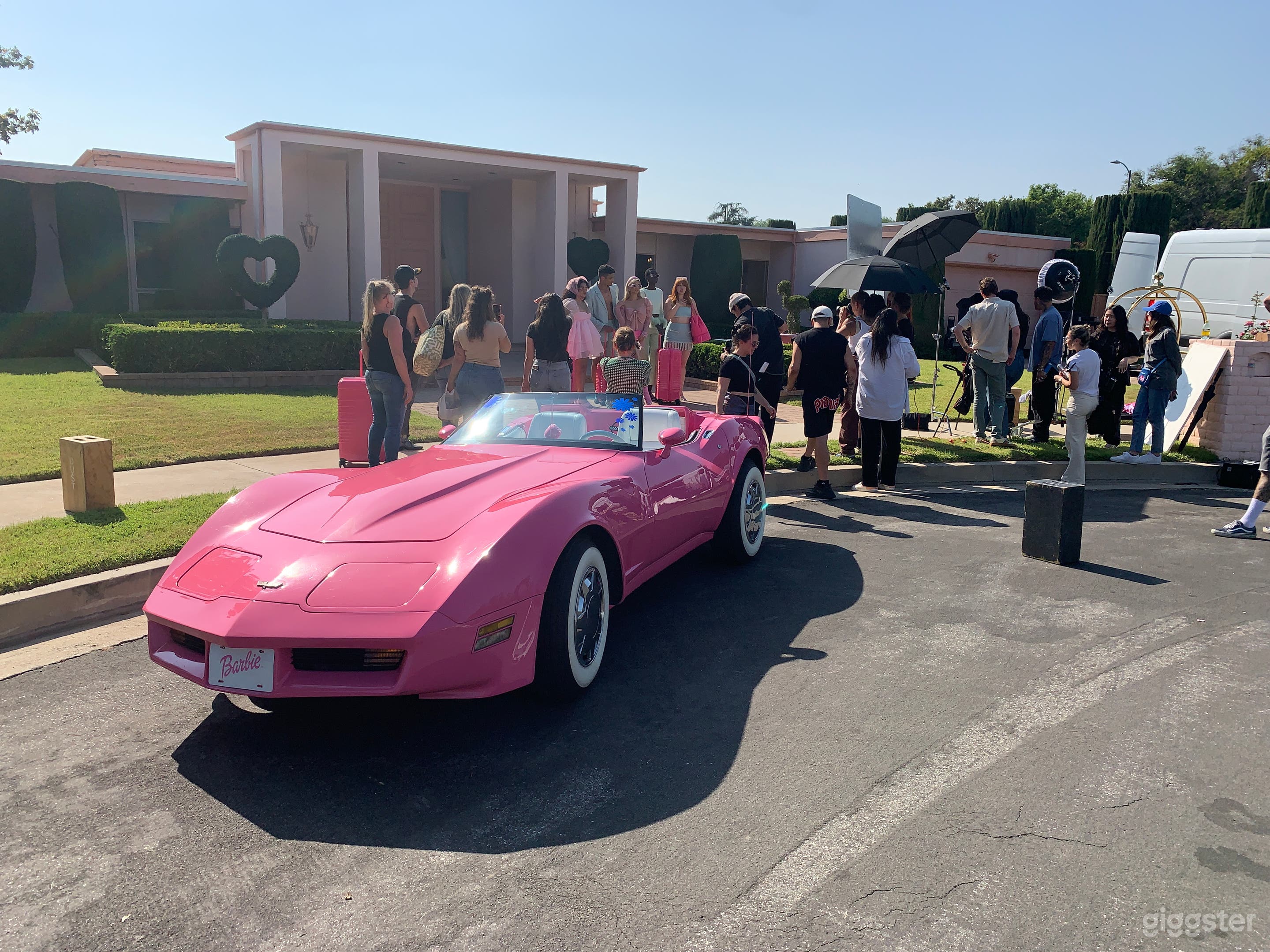 ***Pink Barbie Corvette*** Photo 4