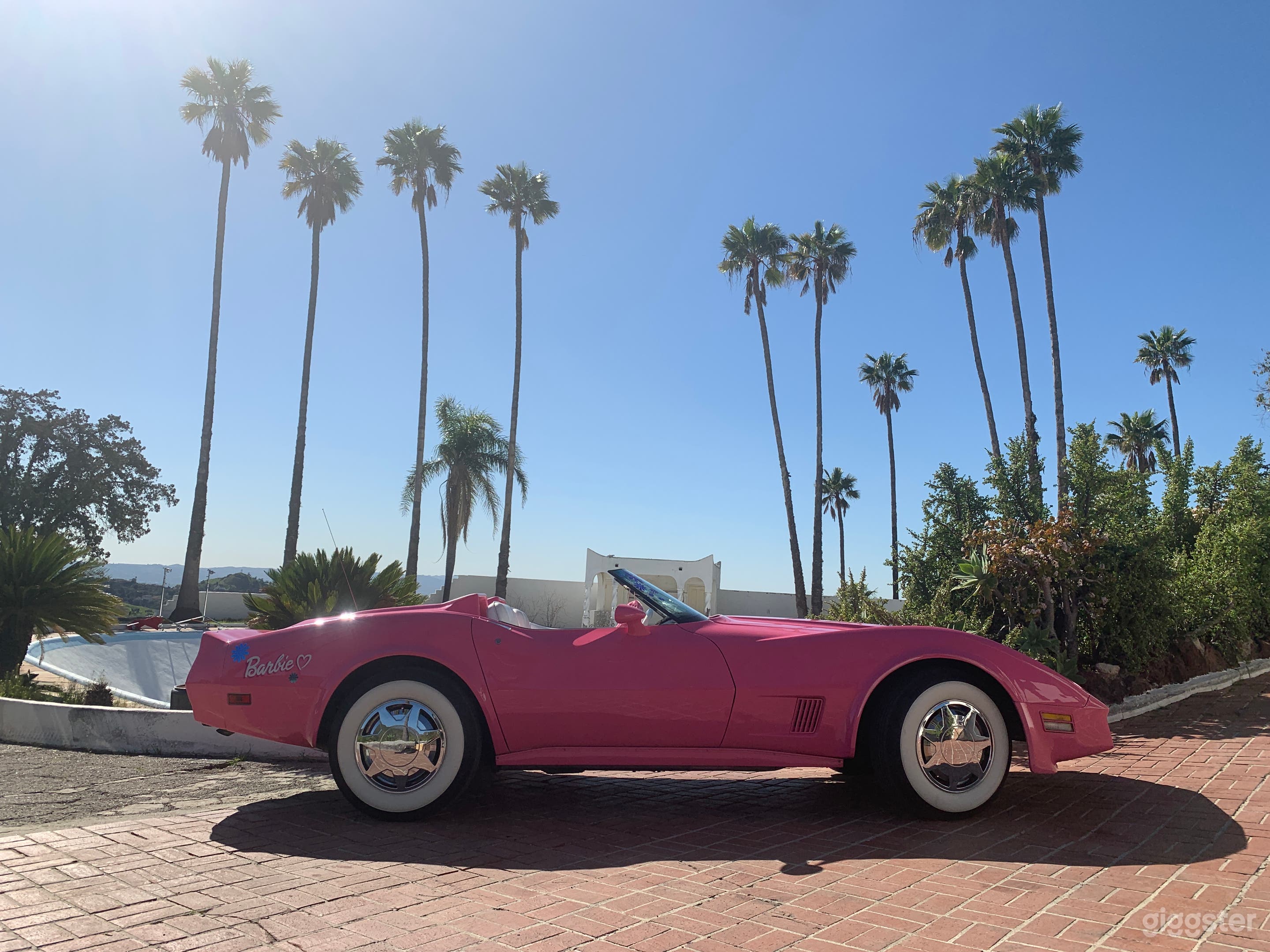 ***Pink Barbie Corvette*** Photo 2