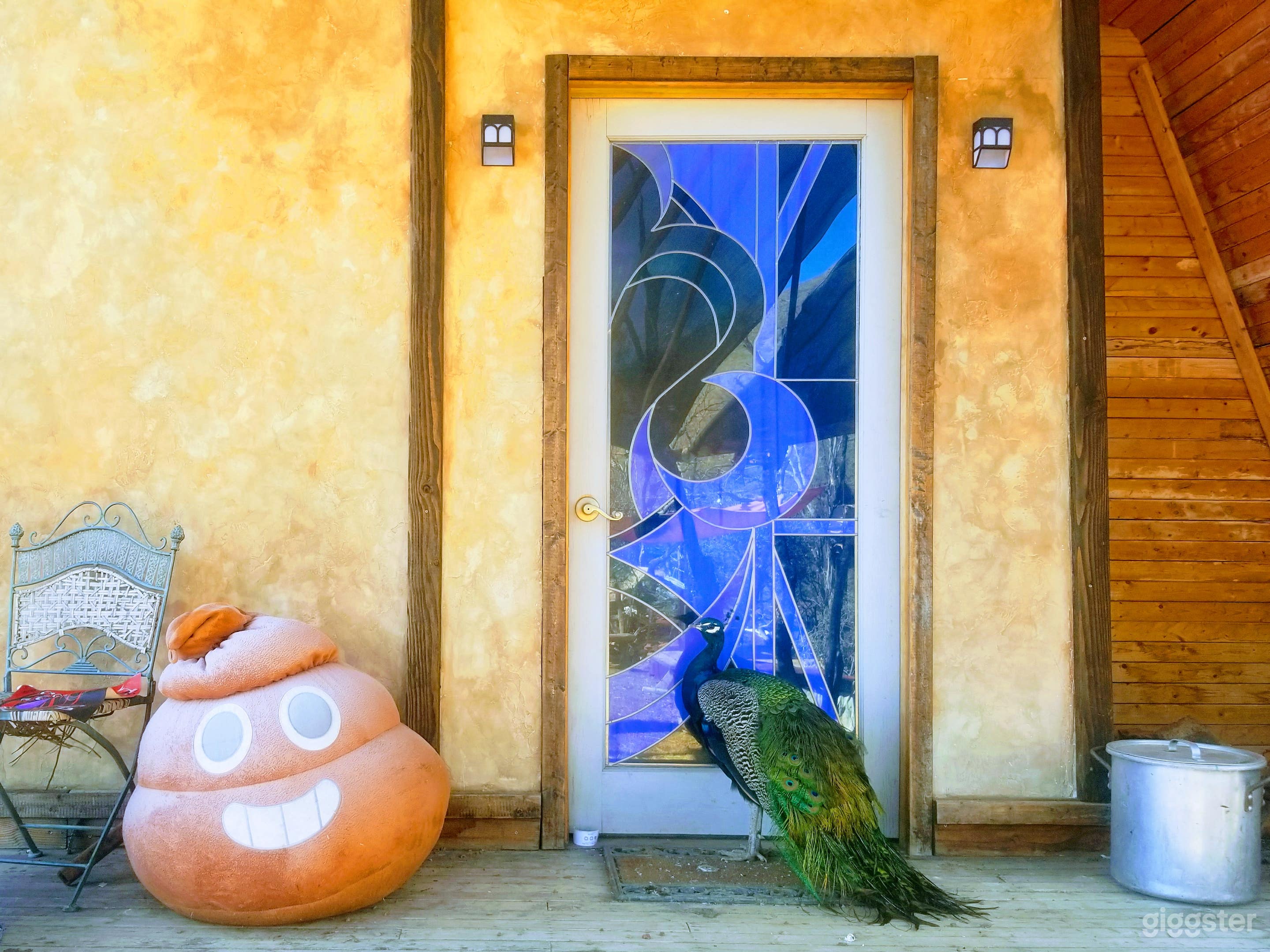Peacock off grid glass doors