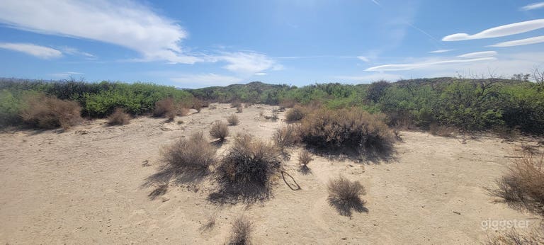  Desert Movie Ranch 