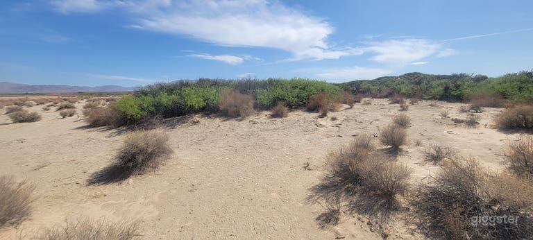 Desert Movie Ranch 