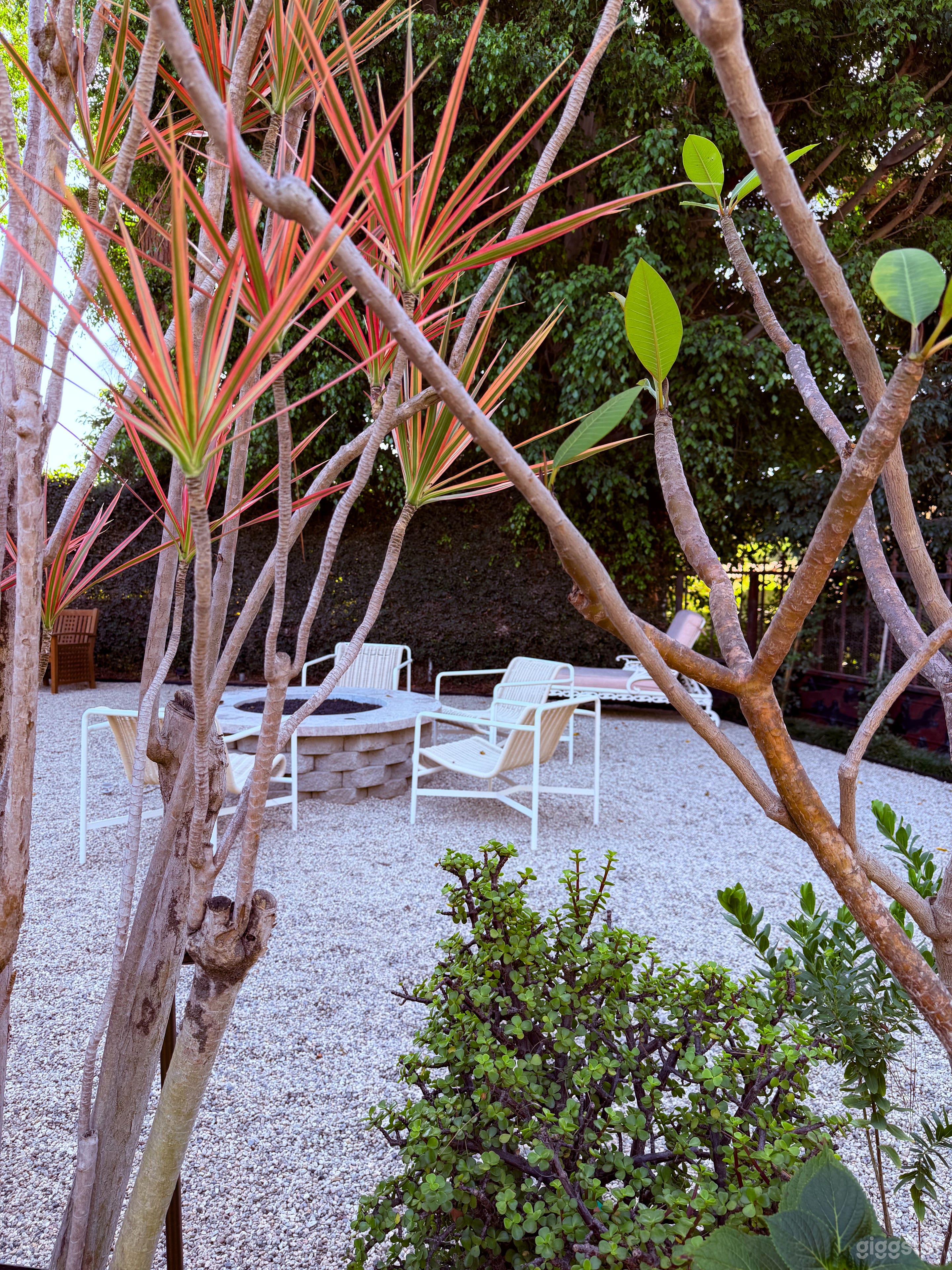 Versatile 4 Bedroom Home - West Hollywood (Full Buy Out) Photo 2