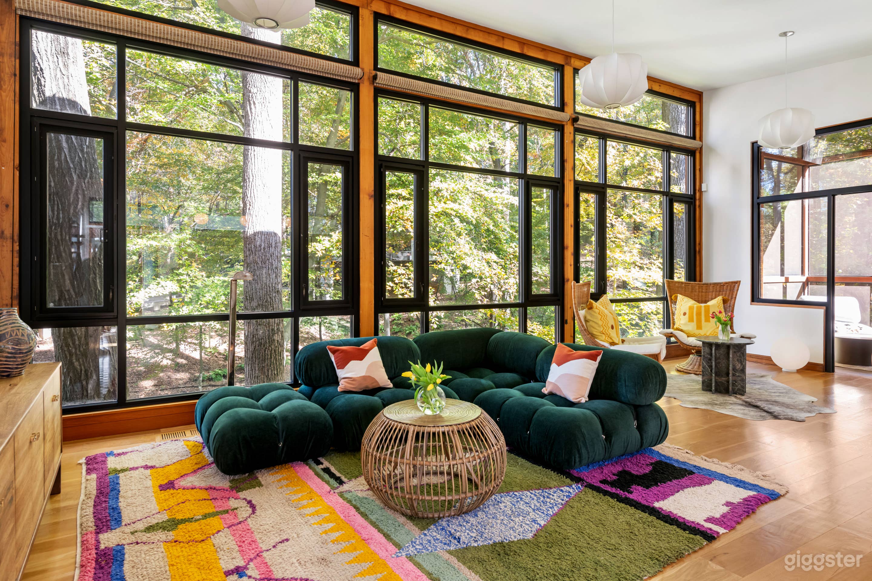 Sunny 3000 Sq Ft Mid-Century Retreat Photo 3