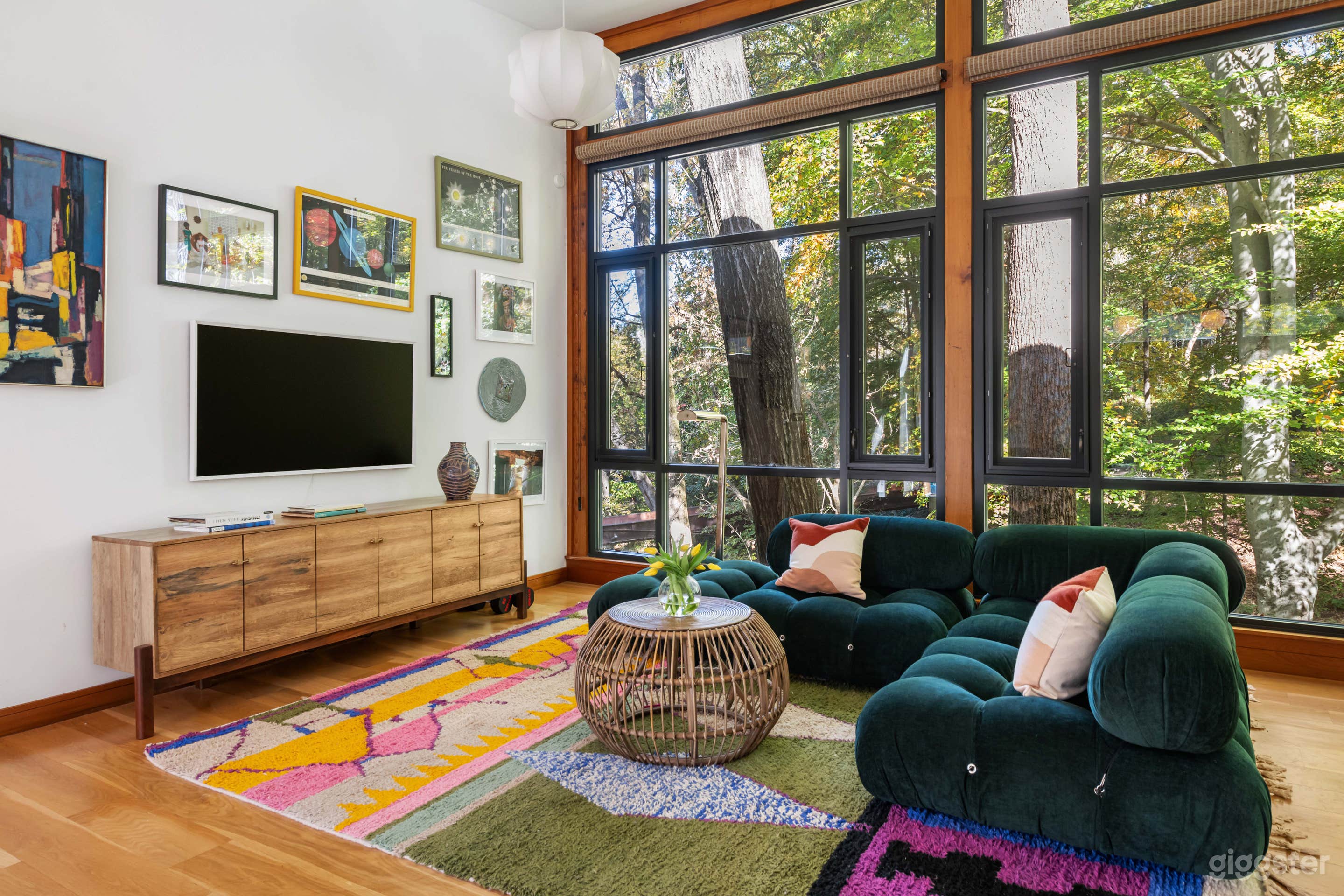 Sunny 3000 Sq Ft Mid-Century Retreat Photo 4