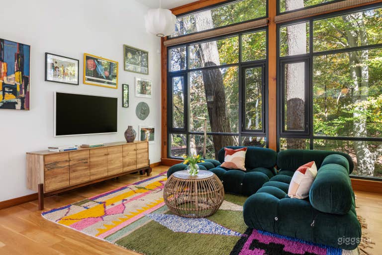  Sunny 3000 Sq Ft Mid-Century Retreat 