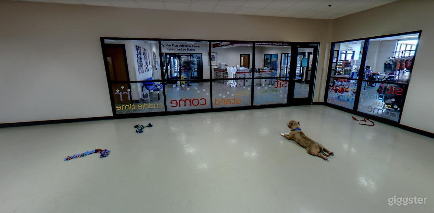 Large Facility Rental w/ Indoor and Outdoor Space (Buyout) Photo 2