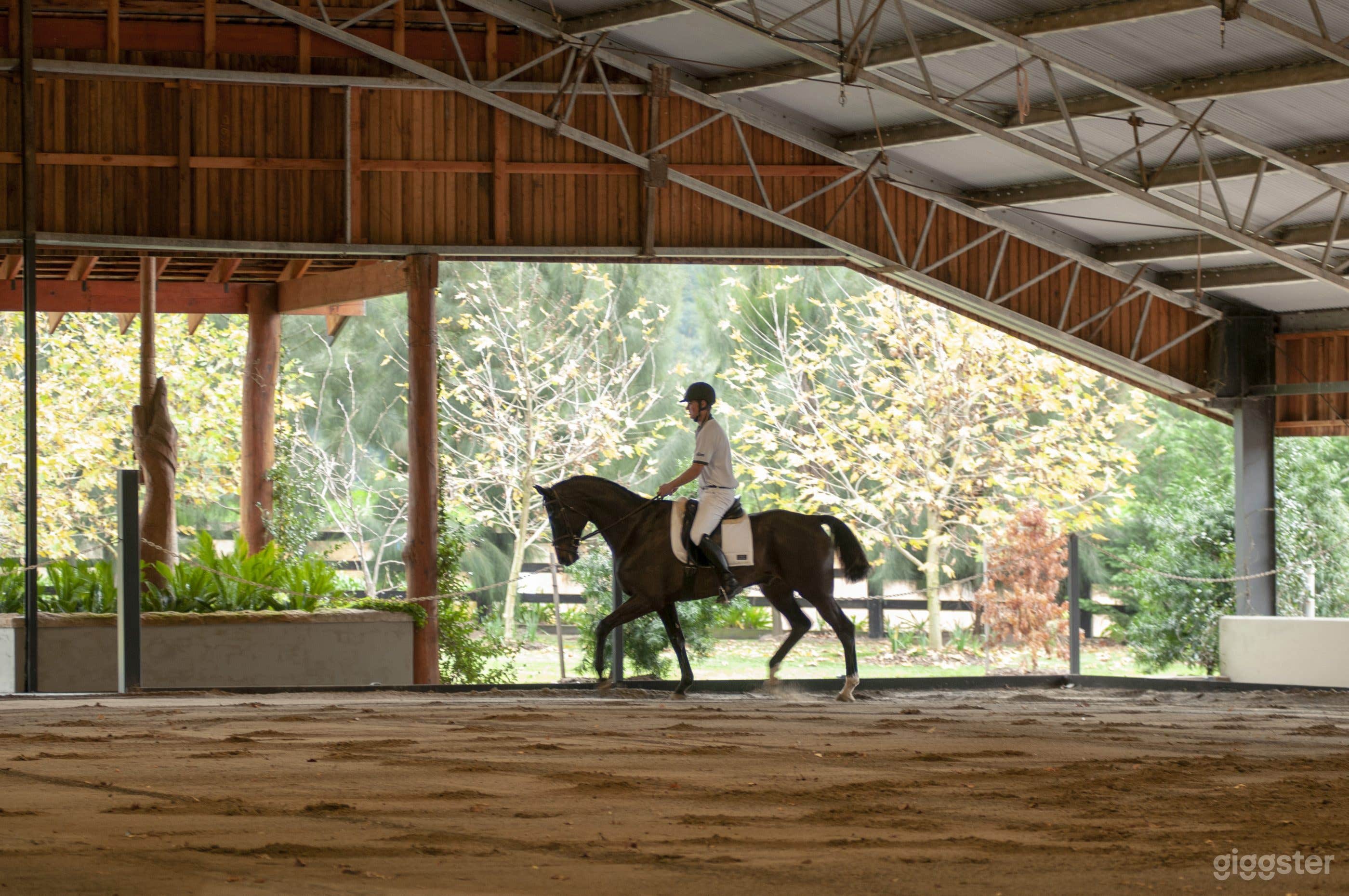 Indoor Arena Photo 3