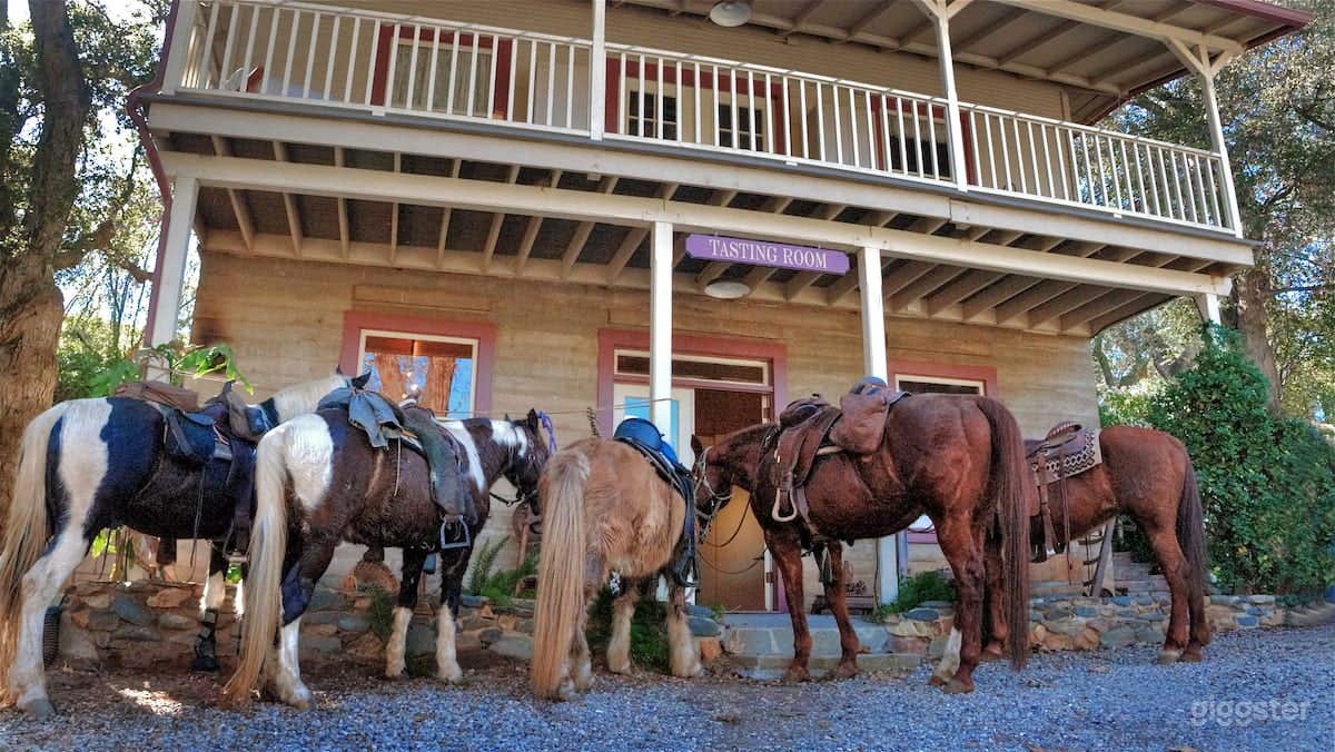 Vineyard and Winery House in Dulzura Photo 2