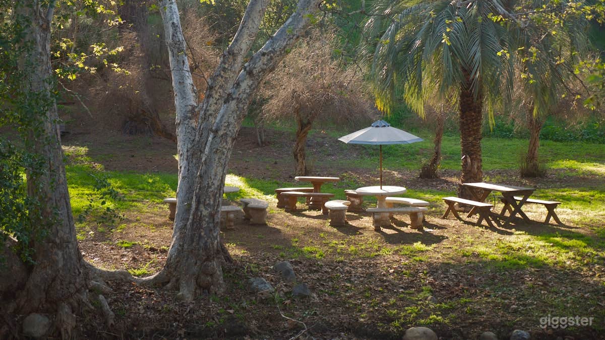 Vineyard and Winery House in Dulzura Photo 3