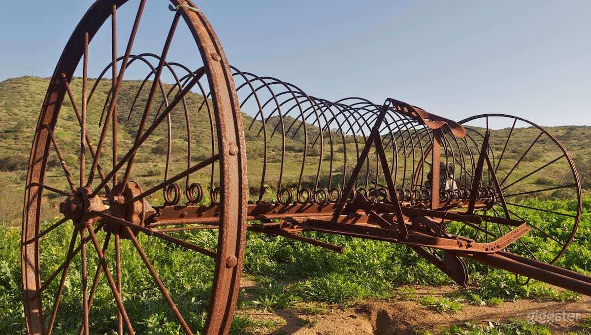 Vineyard and Winery House in Dulzura Photo 4