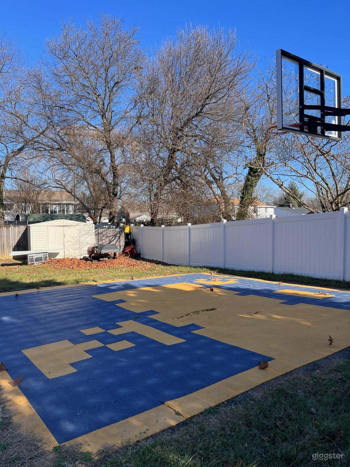 Backyard Half Basketball Court Photo 2