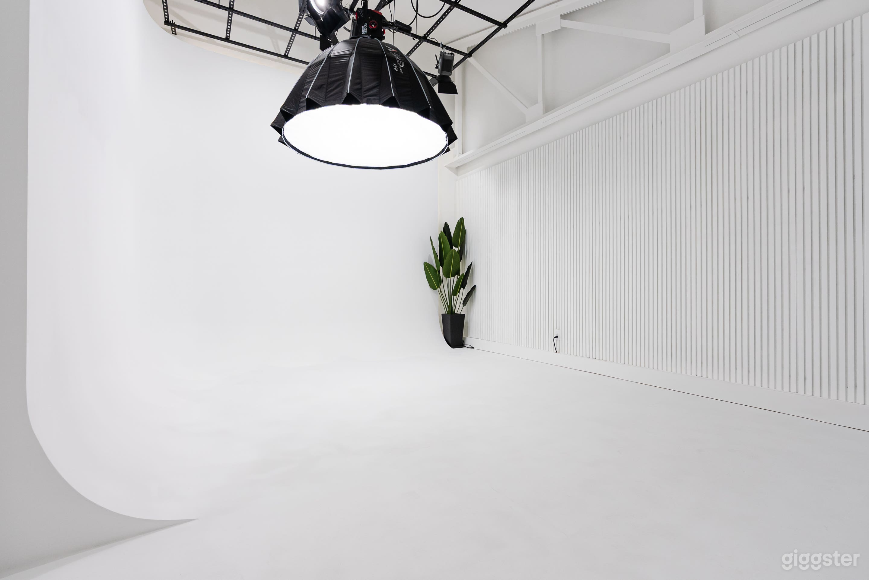 Photo/Video Cyc Wall Studio – RGB Lit Photo 3