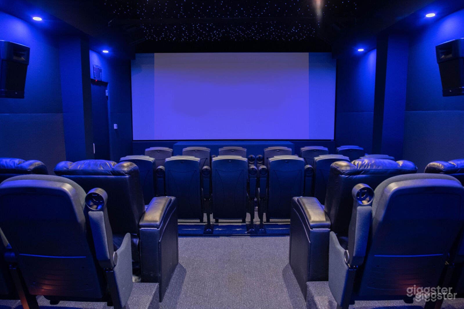 Screening Room Photo 1