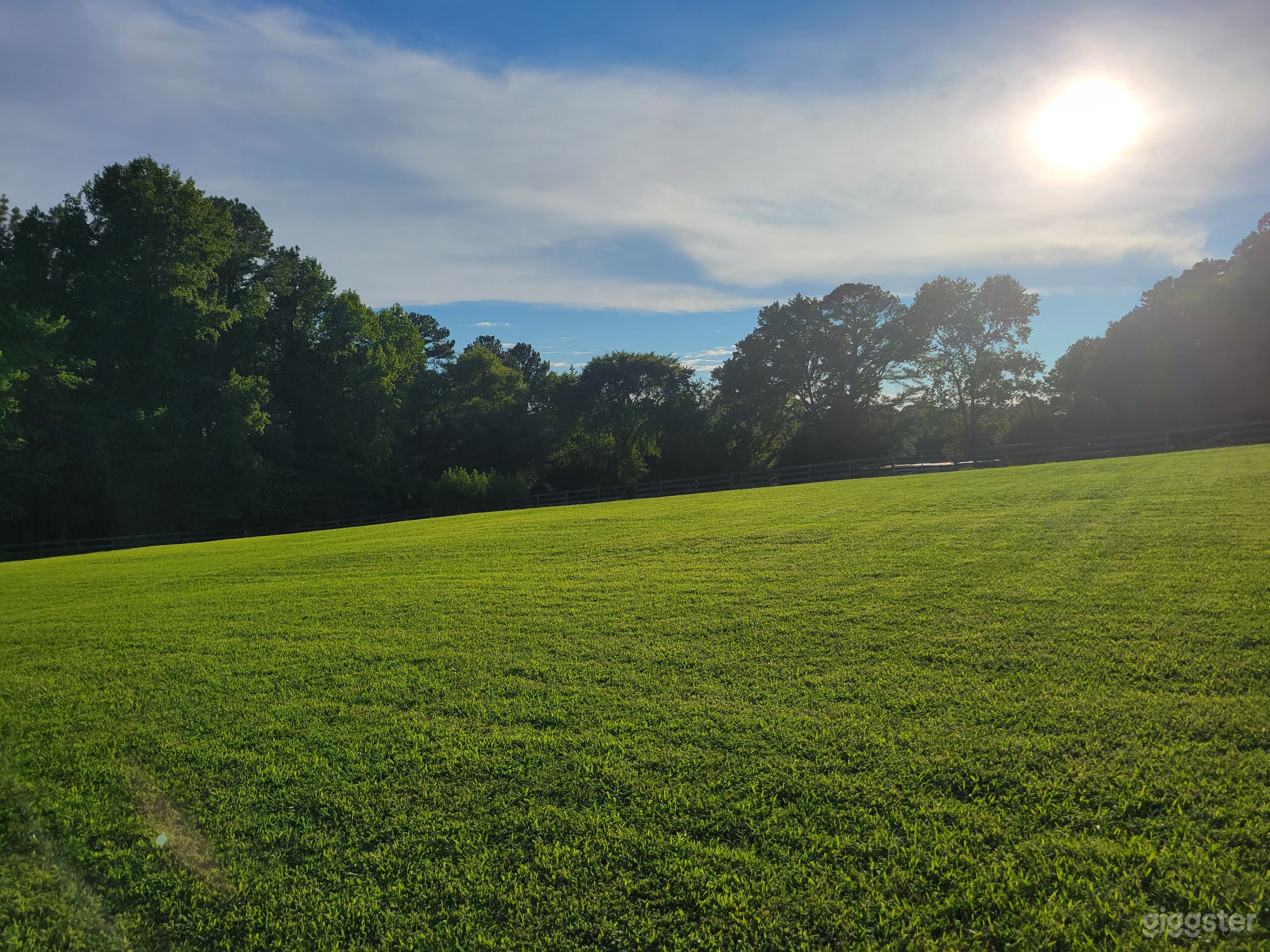 Mini Horse Farm With Beautiful Pastures! Photo 4
