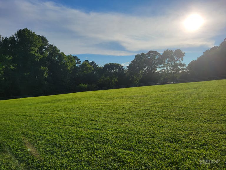  Mini Horse Farm With Beautiful Pastures! 