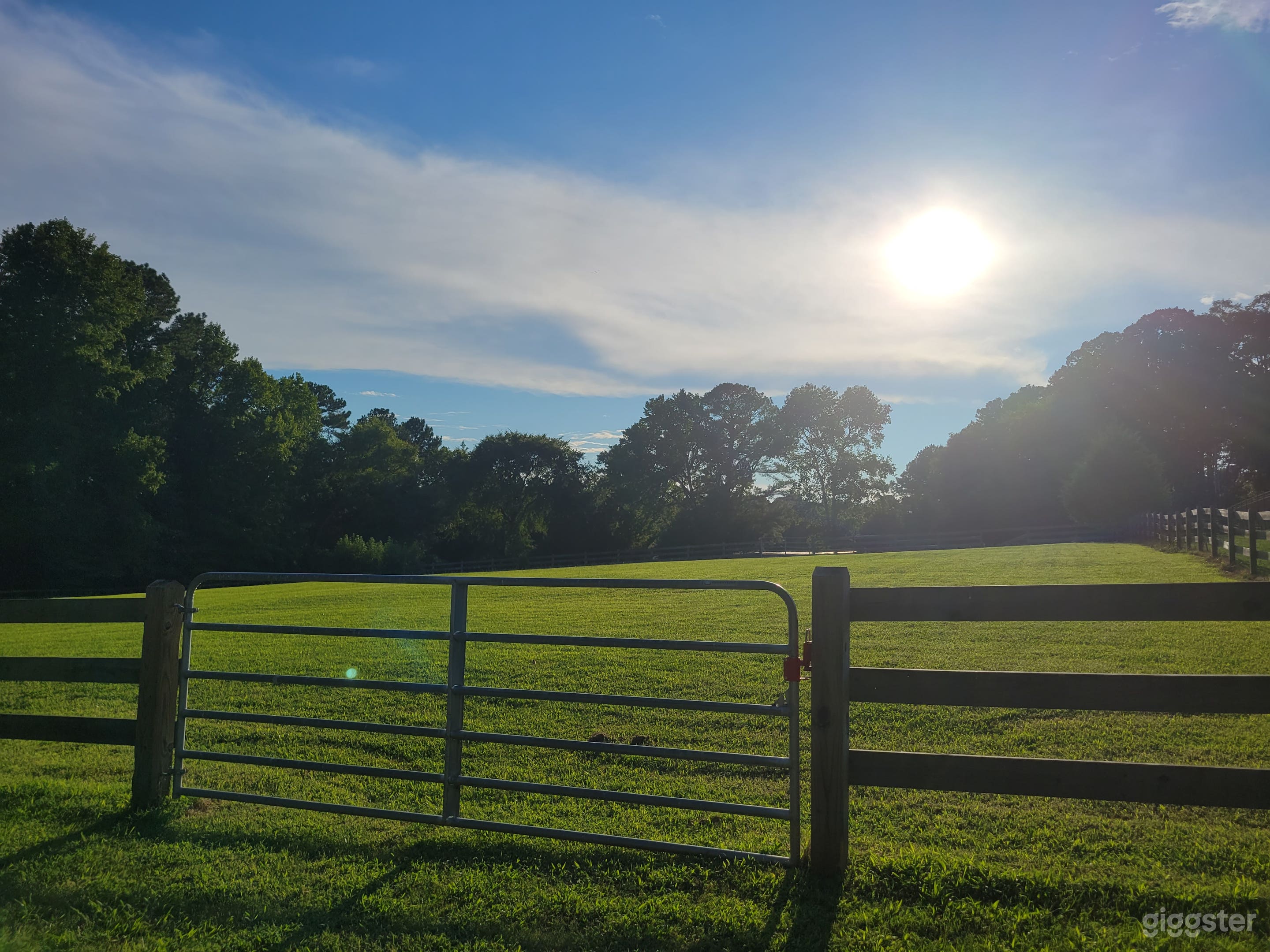 Mini Horse Farm With Beautiful Pastures! Photo 3