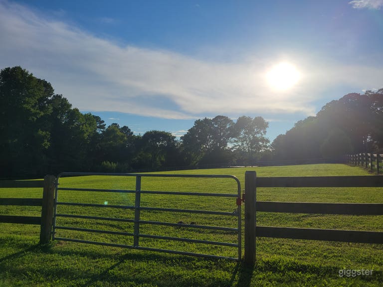  Mini Horse Farm With Beautiful Pastures! 