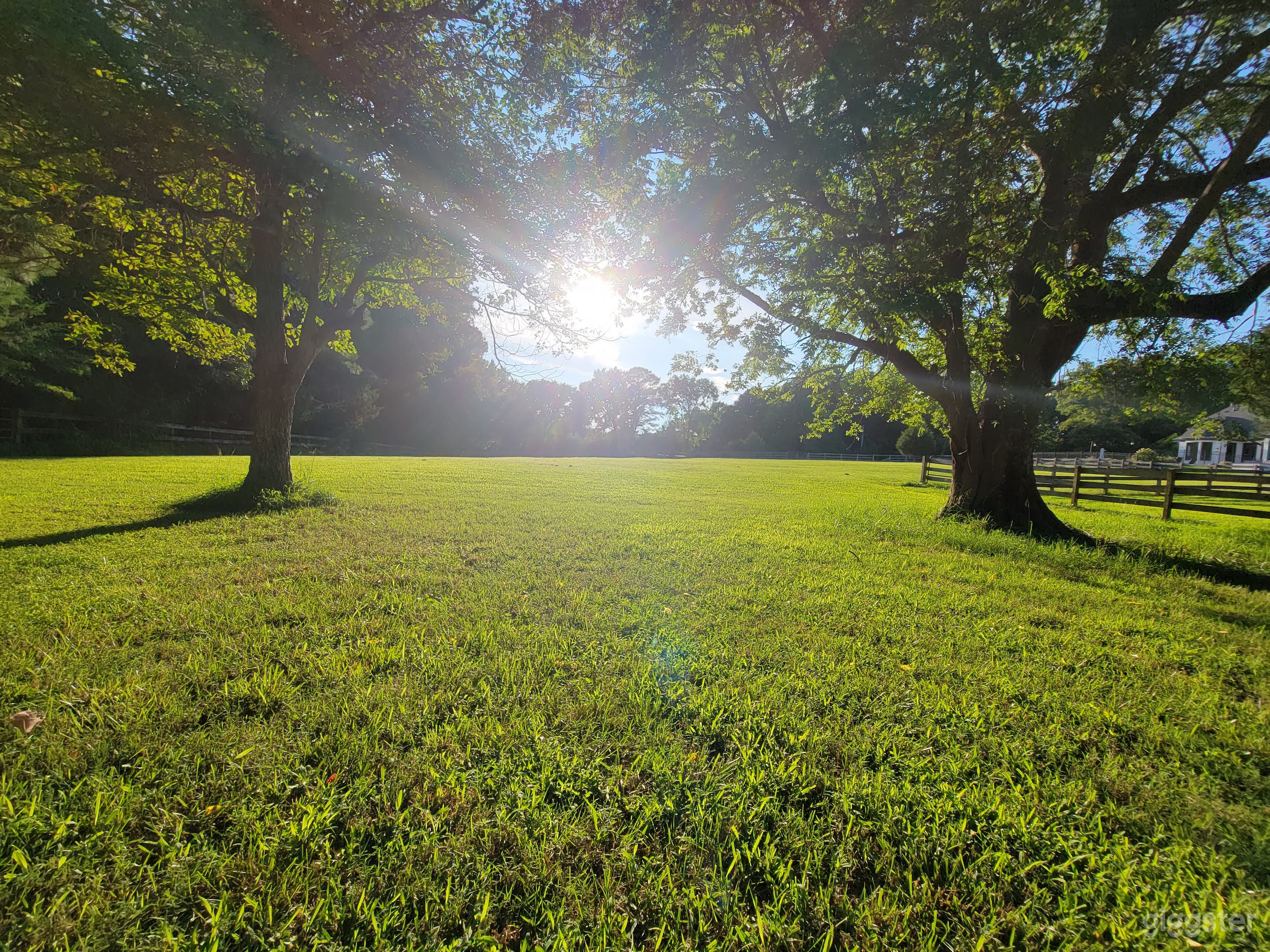 Mini Horse Farm With Beautiful Pastures! Photo 1