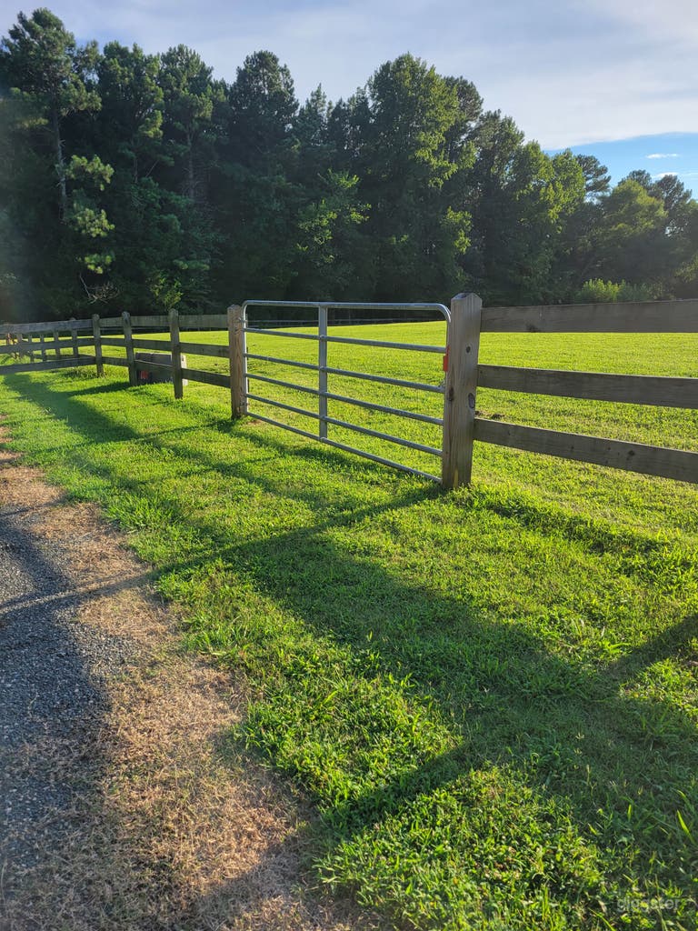  Mini Horse Farm With Beautiful Pastures! 