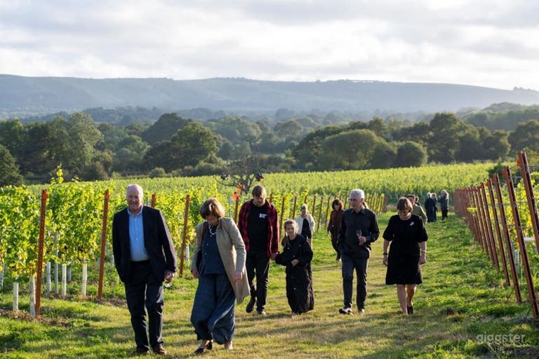  Contemporary English Wine Estate 