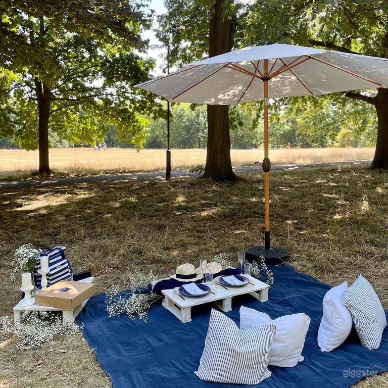  Spacious Outdoor Space for Picnics and Events 