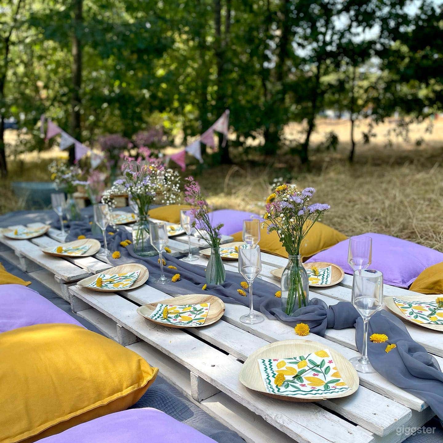 Spacious Outdoor Space for Picnics and Events Photo 3