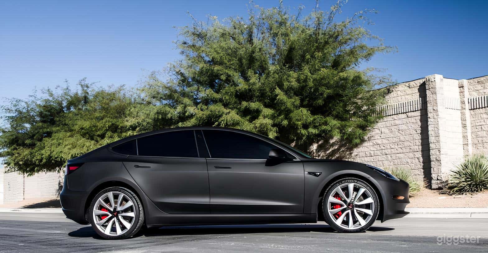 Tesla Model 3/Tesla Model S Photo 2