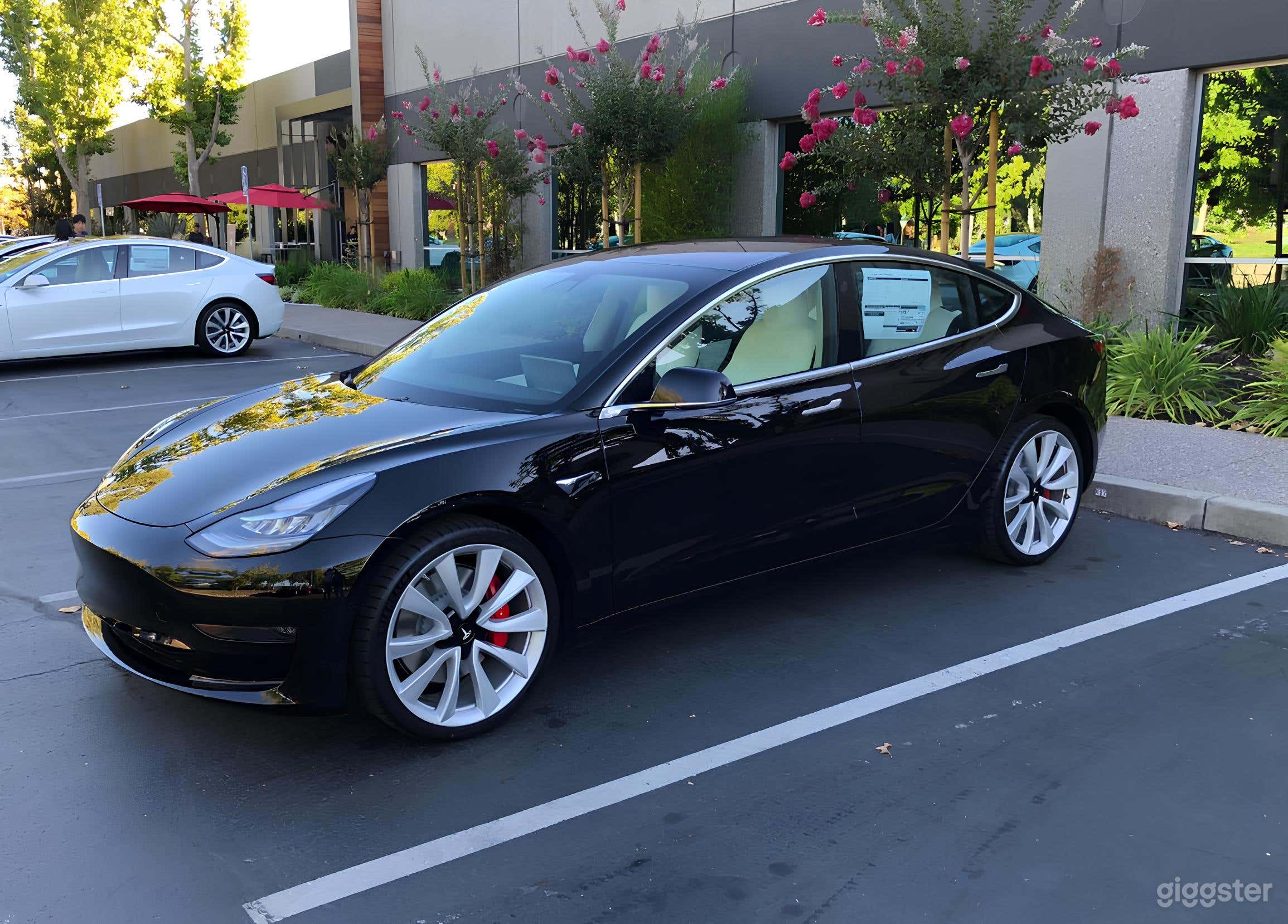 Tesla Model 3/Tesla Model S Photo 1