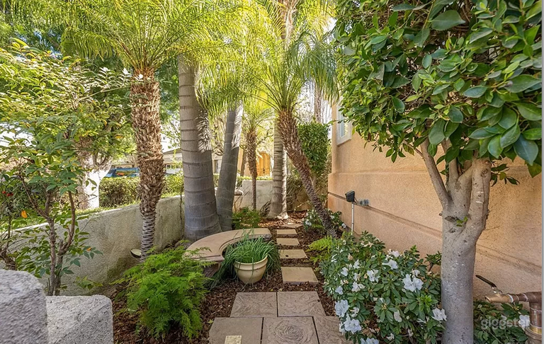  Modern, elegant home 