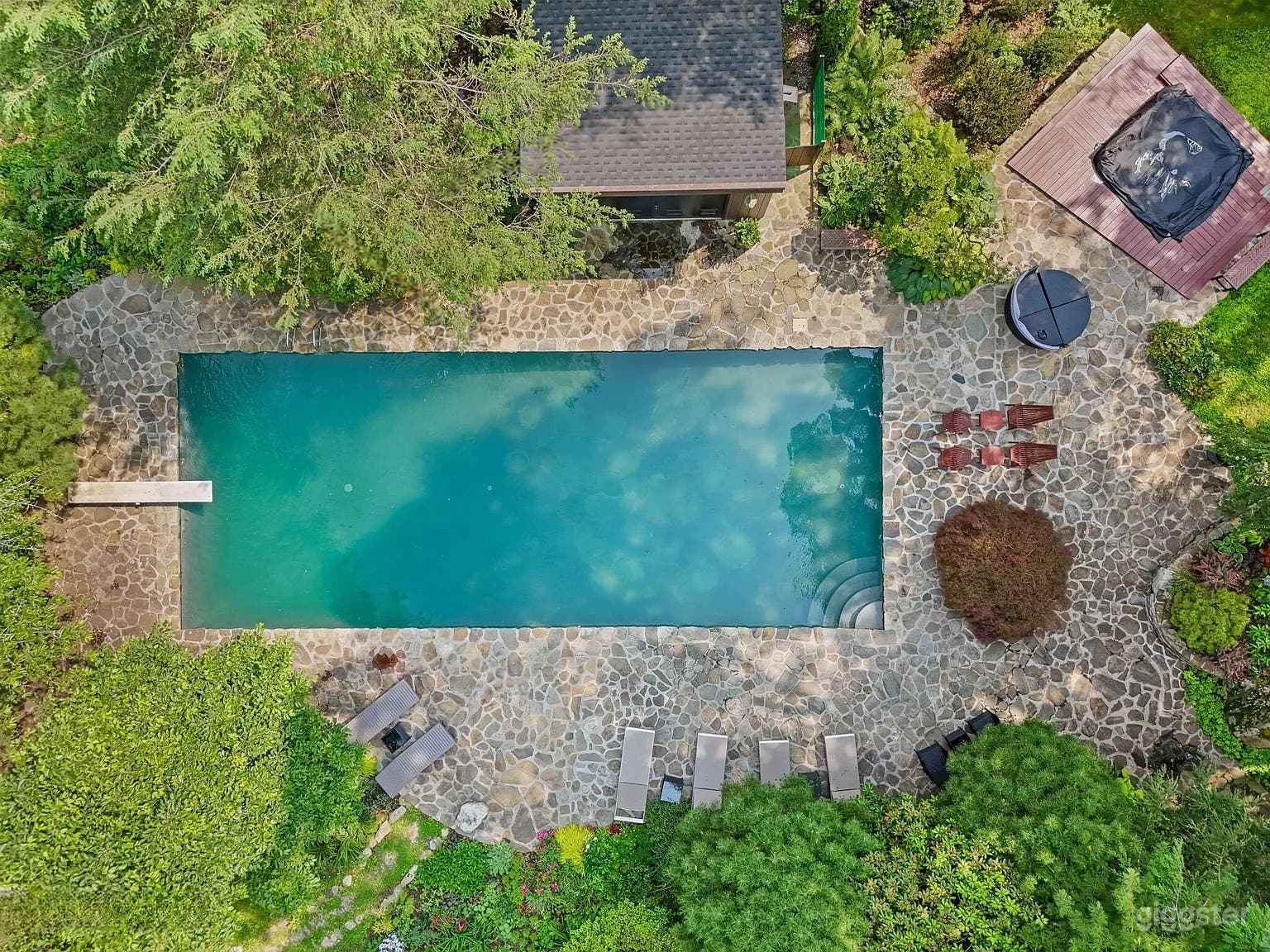 Natural Pool Oasis with Japanese-Inspired Garden Photo 3