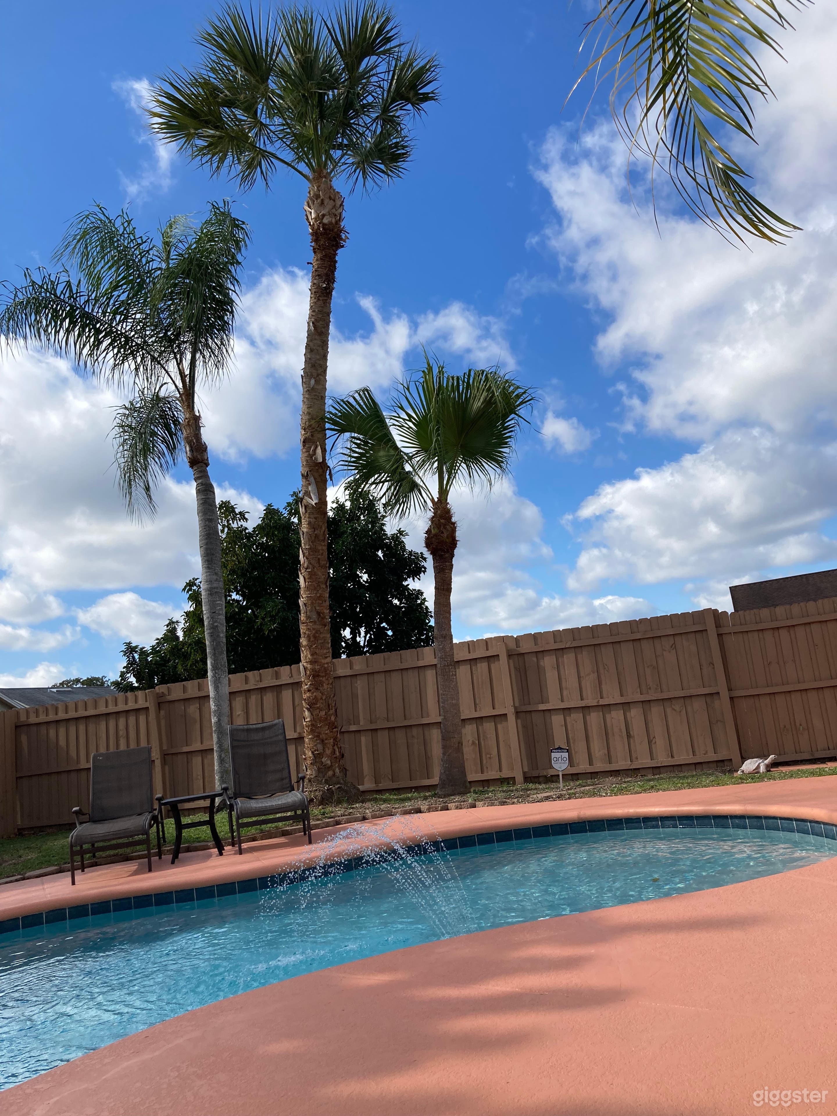 OASIS PALM HAVEN - surrounded by multiple types of palm trees