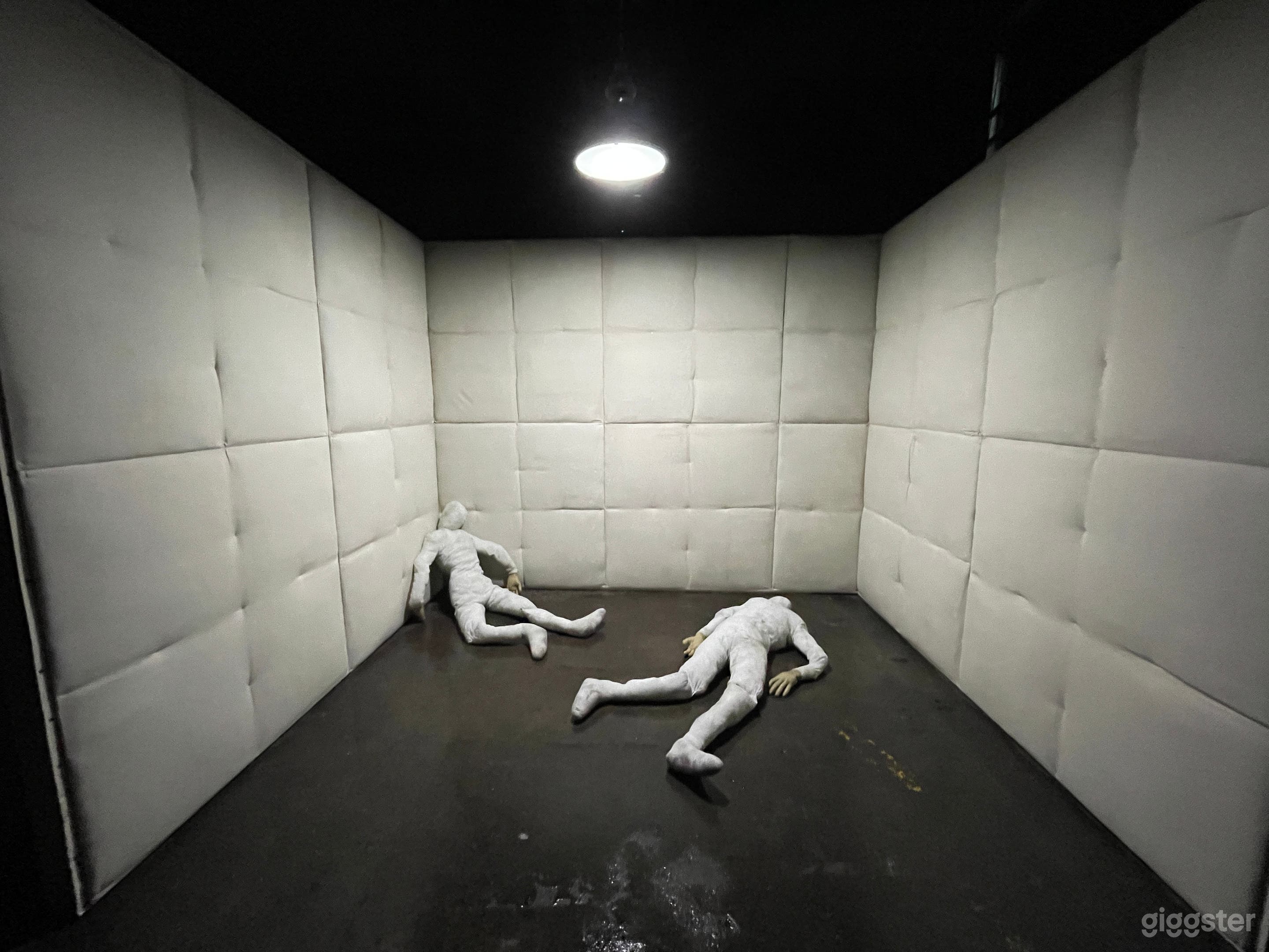 Mental Asylum Set - Padded Room  Photo 4