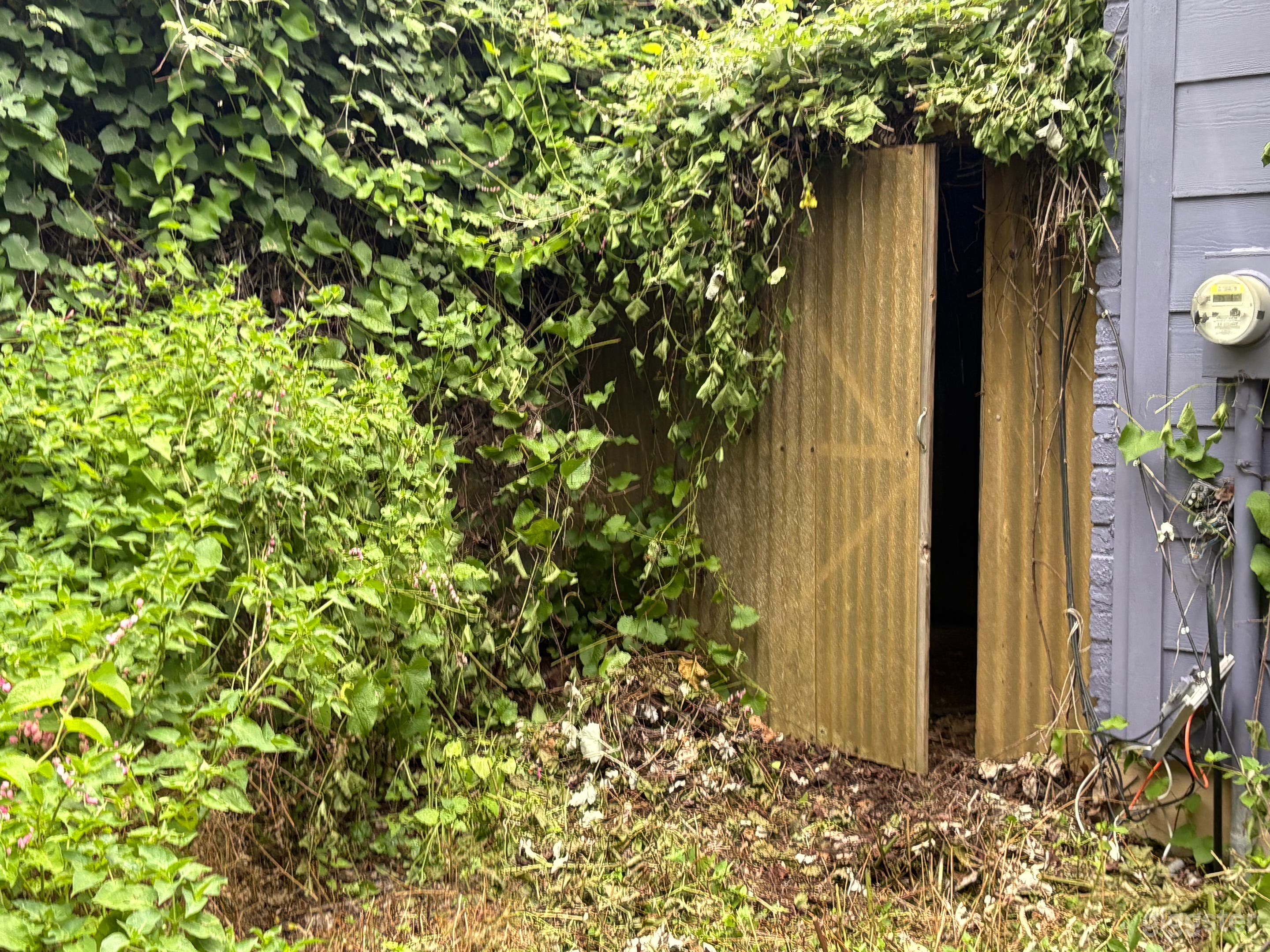 Unique Austin Home, lush oasis back yard 🏠✨ Photo 3