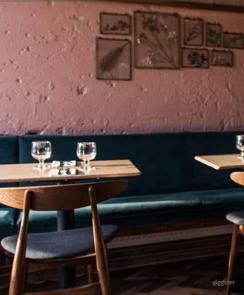 Curious Kudu Photo 3