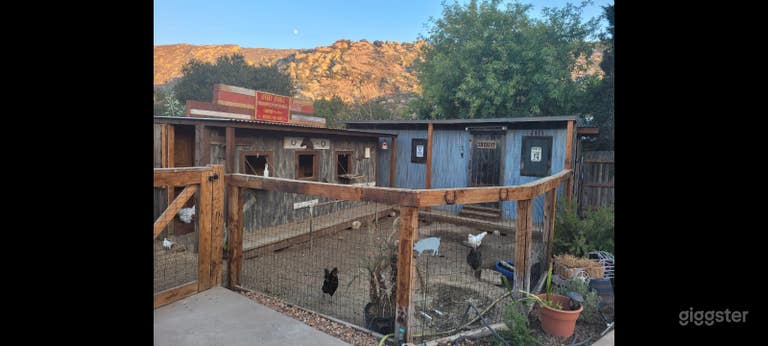  Chicken and pig area 