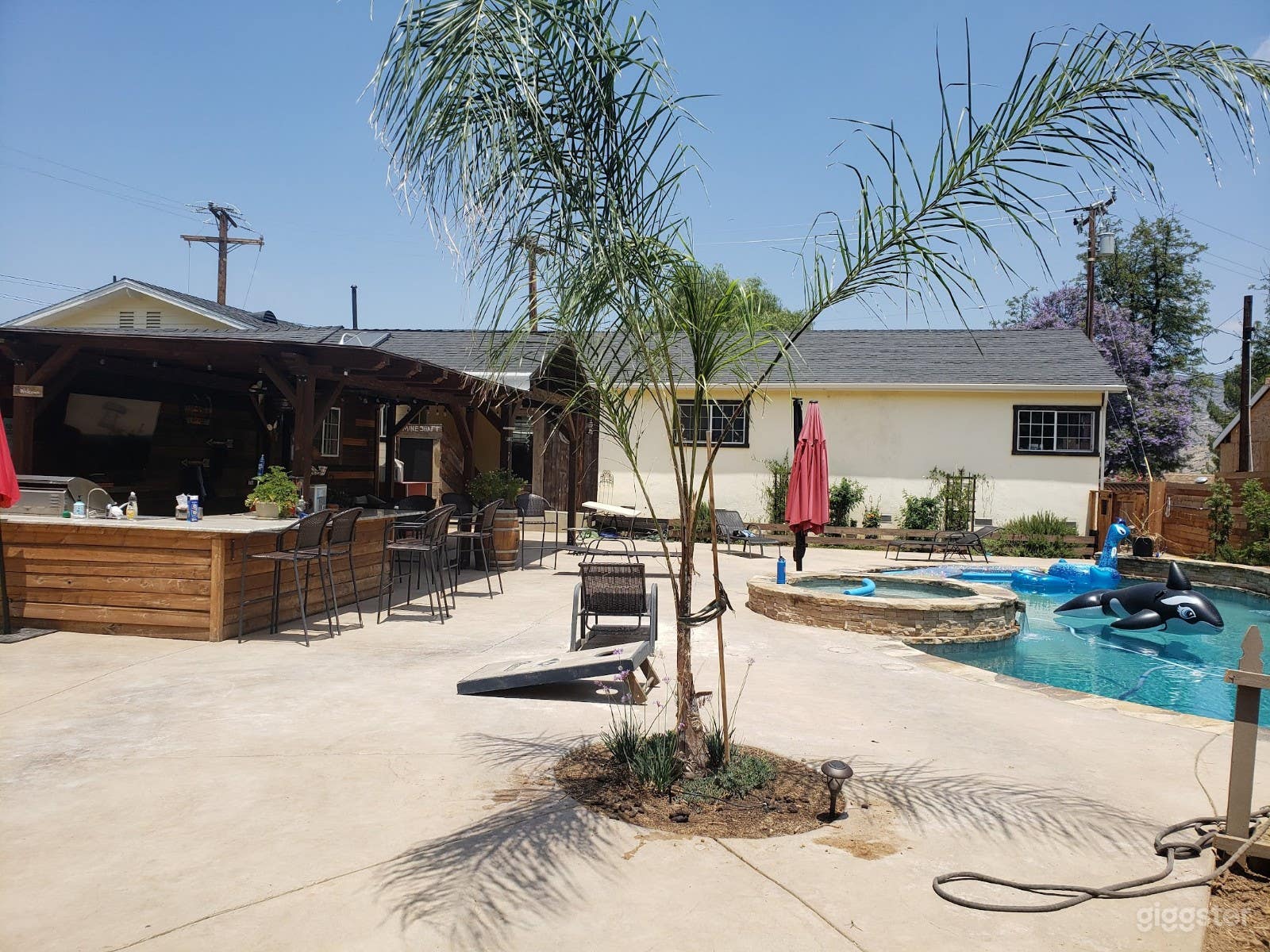 1 section of backyard