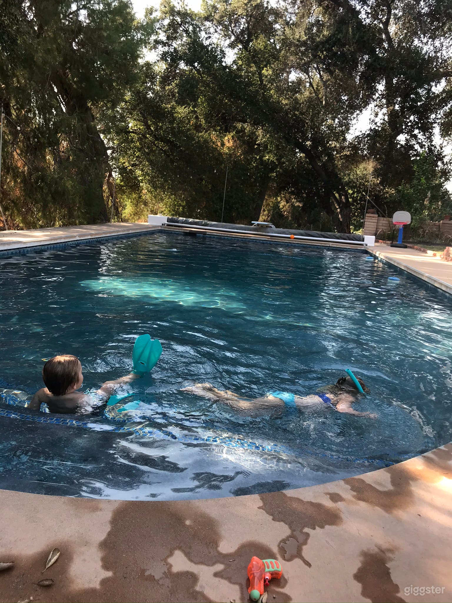 Rustic barn, rural space, river bed & MUCH MORE! Photo 3