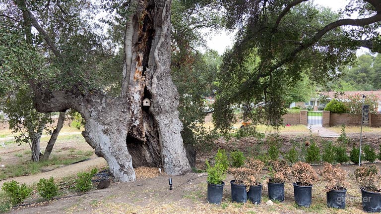  Rustic barn, rural space, river bed & MUCH MORE! 