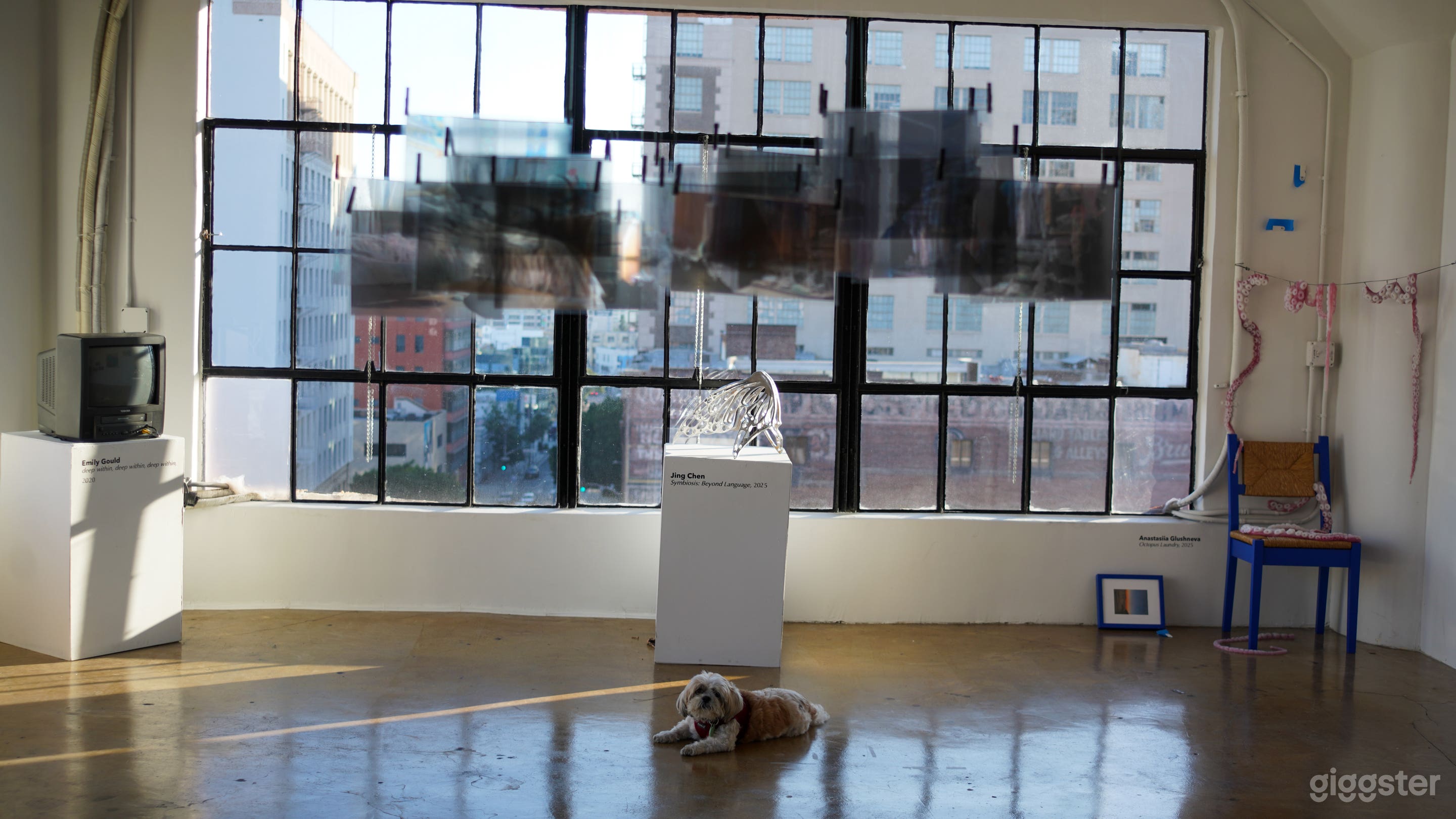 Airy & Affordable DTLA Loft with Stunning Natural Light Photo 2