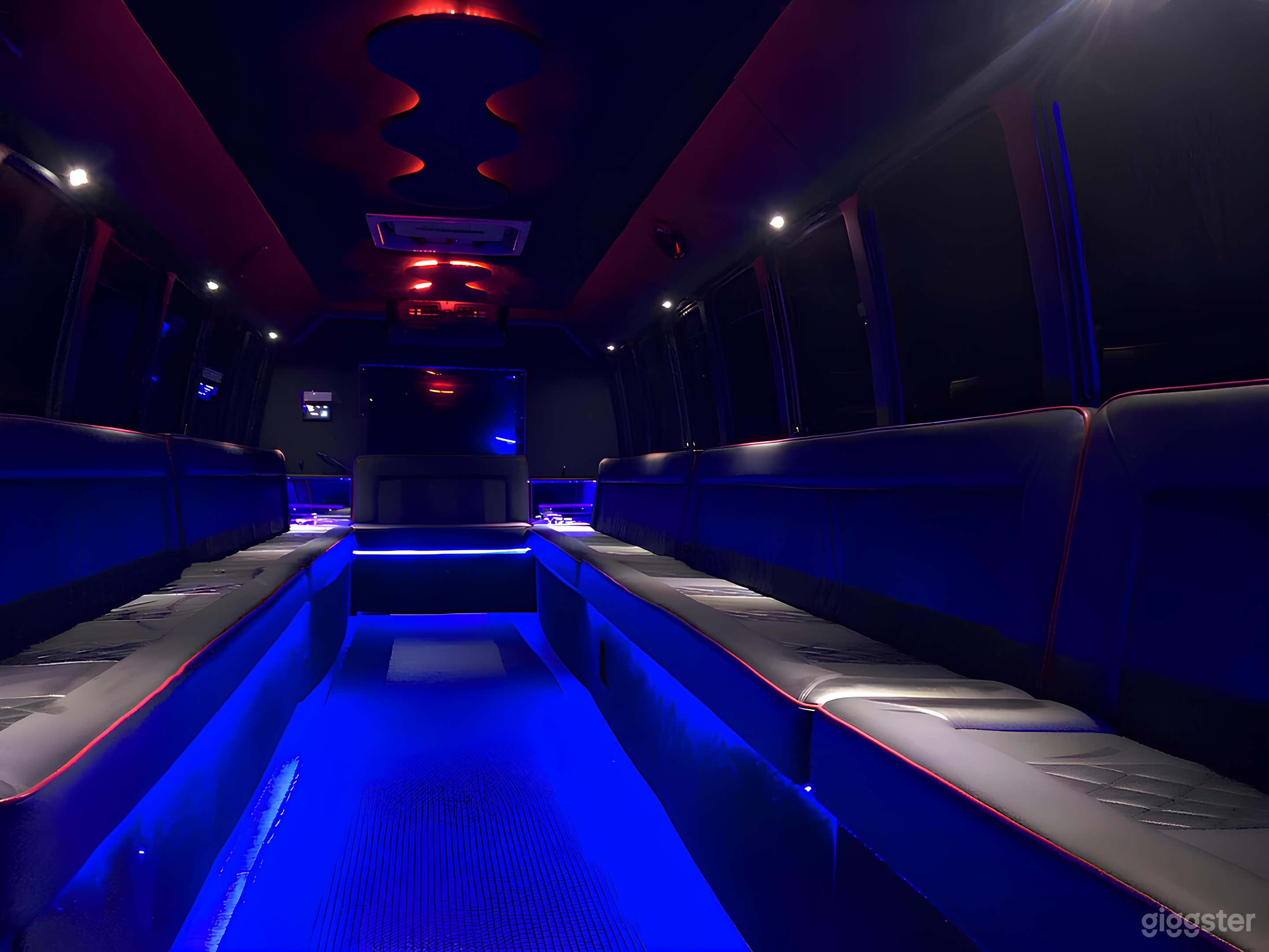 35 passengers Limo Party Bus Photo 3