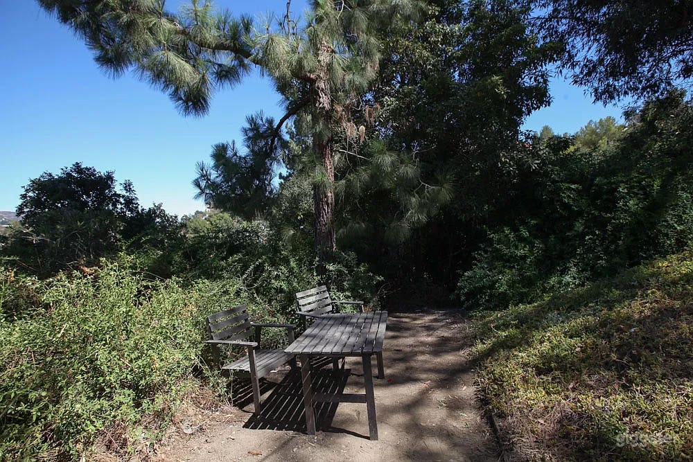 Outdoor garden view.