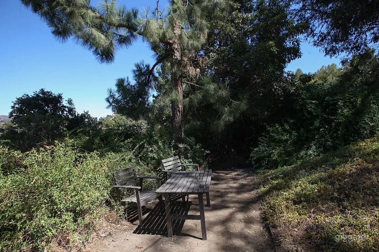  Outdoor garden view. 