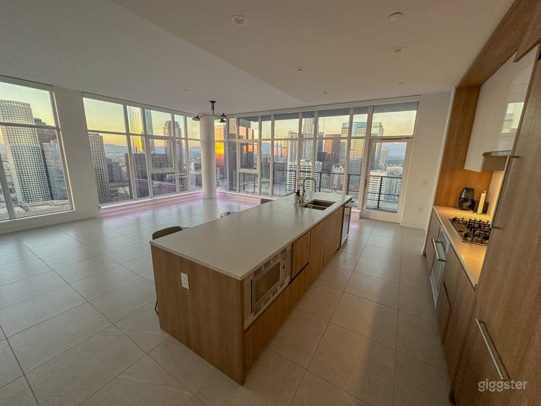  DTLA Penthouse with skyline view 